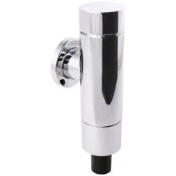 SCHELL WC-Druckspüler, Silberfarben, Messing, Für WCs